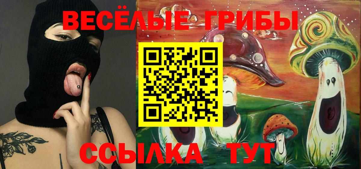 Гагарин  Галлюциногенные грибы Magic Shrooms  Вход с VPN 