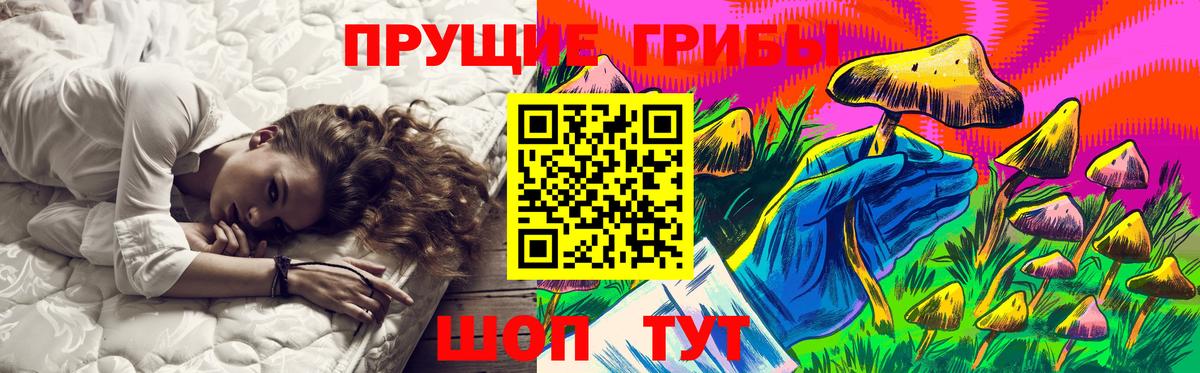 Галлюциногенные грибы Psilocybine cubensis Гагарин